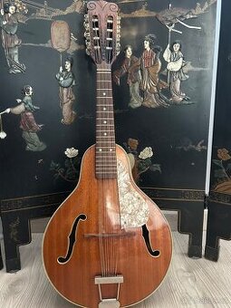 Mandolina Hofner 545