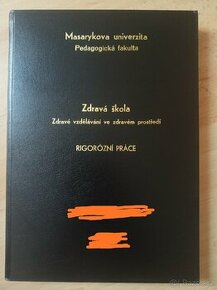 Rigorózní/ diplomová/ závěrečná práce na VŠ - 1