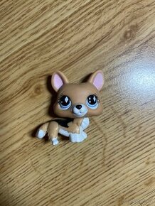 LPS corgi