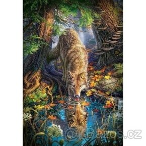 Puzzle Castorland 1500