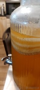 Kombucha