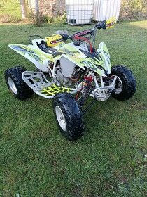 Yamaha Raptor 250 - 1