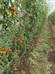 Nabídka práce na farmě a zahradnictví.