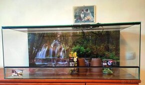 L80x40x40 terarium nové .Síla skla 5 mm .Polyuretanové pozad