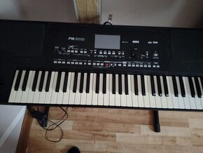 Korg pa 300