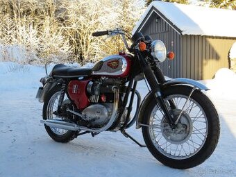 BSA A65L Lightning - 1