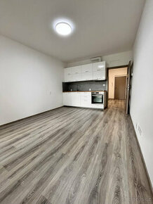 Pronájem bytu 1+kk, Frištenského, Neředín,  Kč/měs, 33 m2