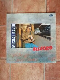 Michal David - Allegro (LP)