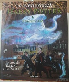 Harry Potter a Fénixův řád