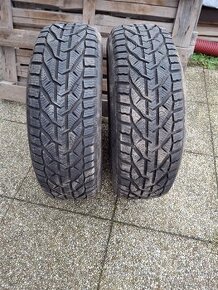 Zimni pneu Riken 225/65 R17 102H