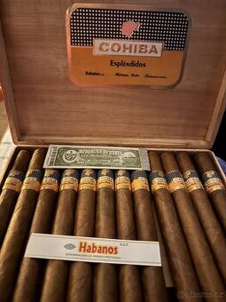 Cohiba Esplendidos 25ks