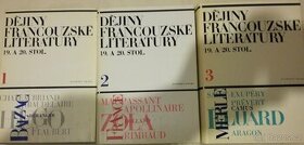 Dějiny - francouzská literatura