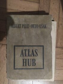 Atlas hub