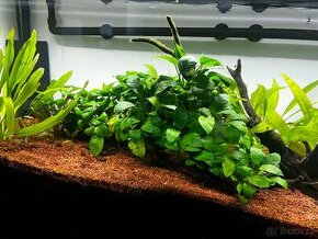 Akvarium 160L