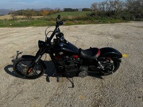 Harley davidson dyna