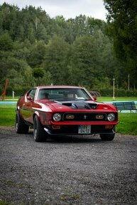 Ford mustang 1971-Rezervace