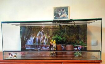 L80x40x40 terarium nové .Síla skla 5 mm .Polyuretanové pozad