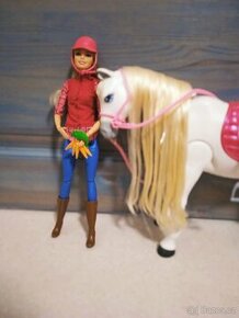 Barbie Mattel kůň snů - 1