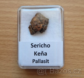 Meteorit - Pallasit - Sericho - 1