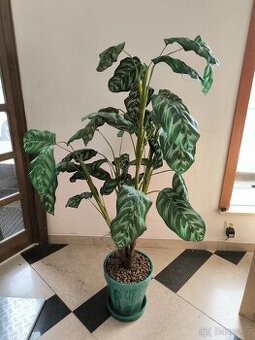 Umělá rostlina květina Calathea 160cm