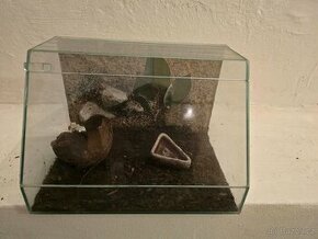 Terarium pro pavouka