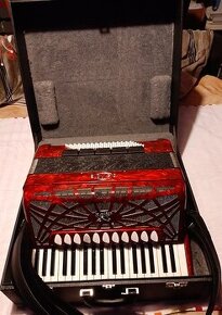 Acordeon DELICIA CARMEN 96 - 1