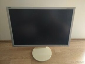 Monitor NEC