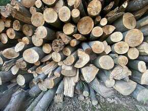 Tvrdé dřevo