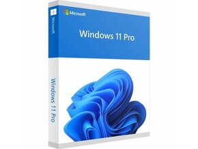 Windows 10 nebo 11 Pro | rychlé doručení