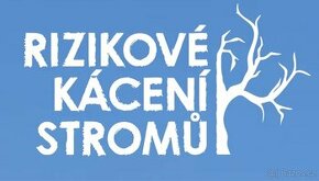 Rizikové kácení stromů - 1