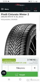 Pneumatiky 205/55 r19 Pirelli Winter 2