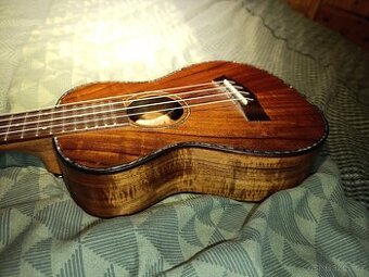 Koncertní ukulele