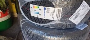 225/45 R19 Firestone