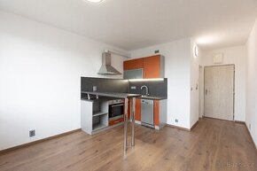 Prodej bytu 1+1 39 m² nábřeží 1. máje, Písek