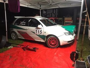 Rally fabia