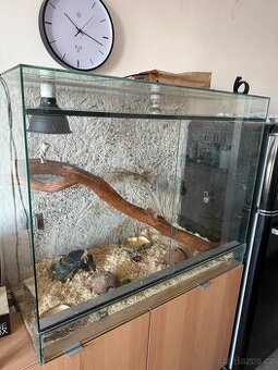 Terarium