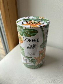 Loewe Paula's Ibiza Eclectic - Toaletní voda 50ml