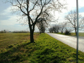 Prodám pozemek 10.000 m2