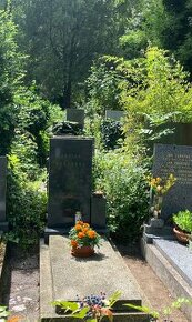 Olšanské hřbitovy - 1