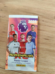 Panini Premier League 2024/2025 booster box