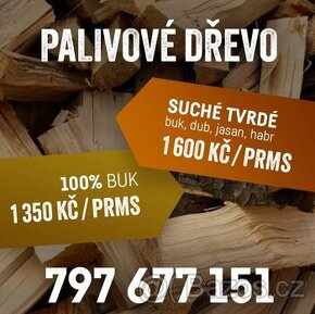 Palivové dřevo (SUCHÉ TVRDÉ)/BUK