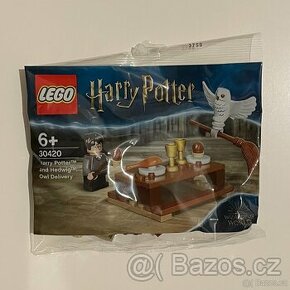 LEGO Harry Potter 30420 Harry Potter a Hedvika: Nové koště