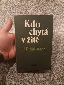 Kdo chytá v žitě - J. D. Sallinger