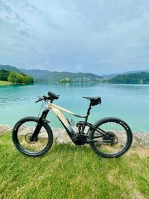 GIANT REIGN E+ 2 PRO 2020, ebike + chip