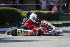 motokára Birel Easykart 100 ccm (24 koní 15000 ot./min)