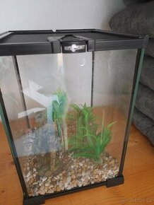 Terarium 20x20x30