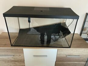 100L terarium