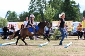 Minihorse 8 lety valášek