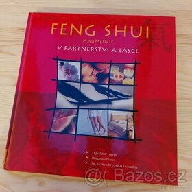 Feng Shui - 1