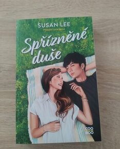 Spřízněné duše - Susan Lee